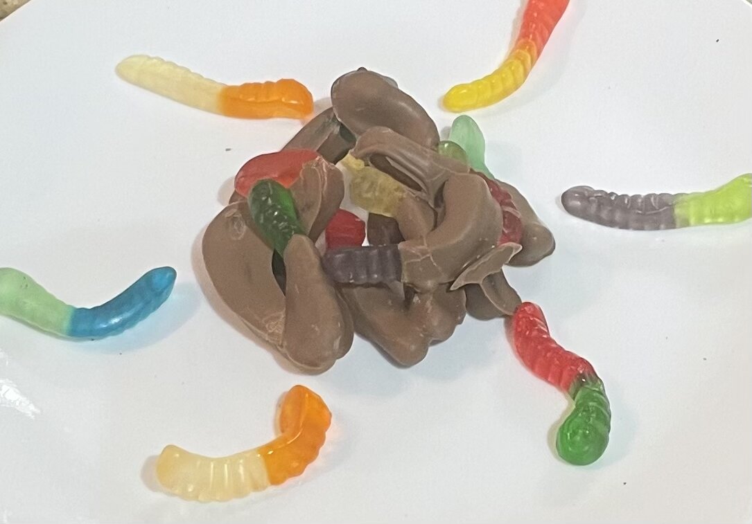 Gluten-Free Chocolate Covered Gummy Worms