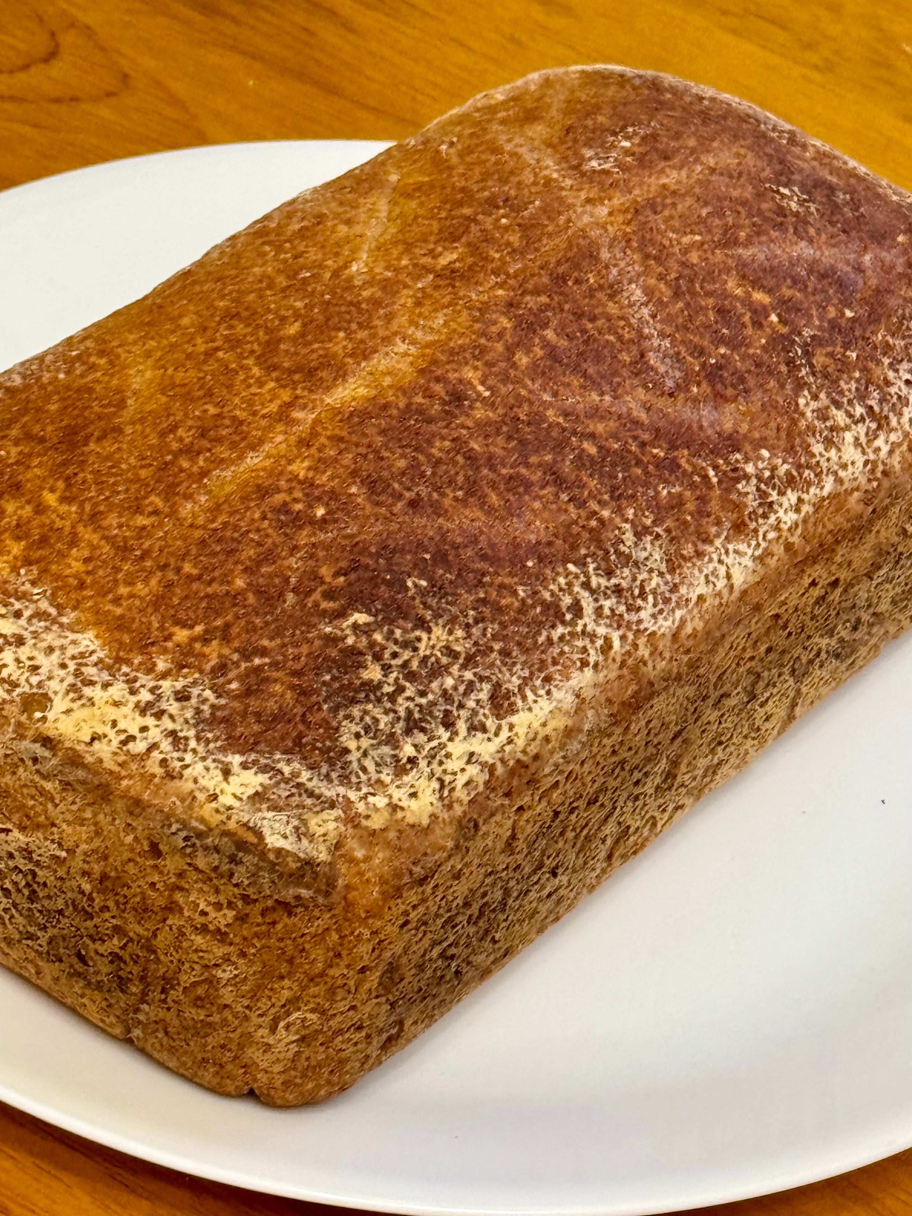 Gluten Free Sourdough Loaf Bread