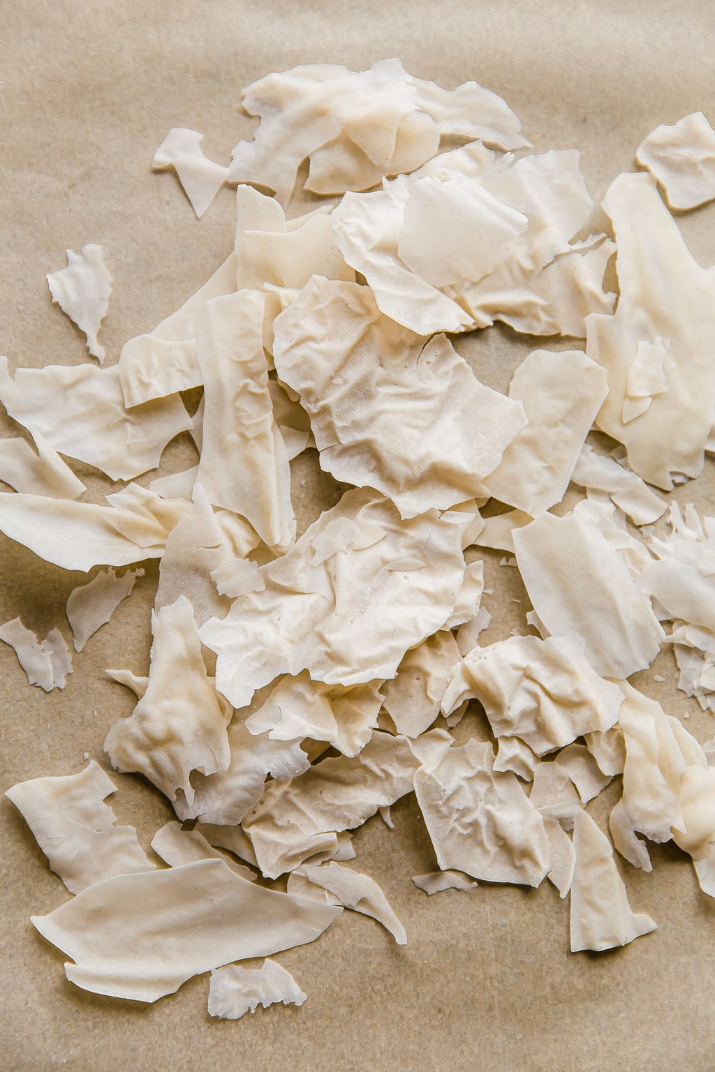 Gluten-Free Sourdough Starter (Dehydrated)