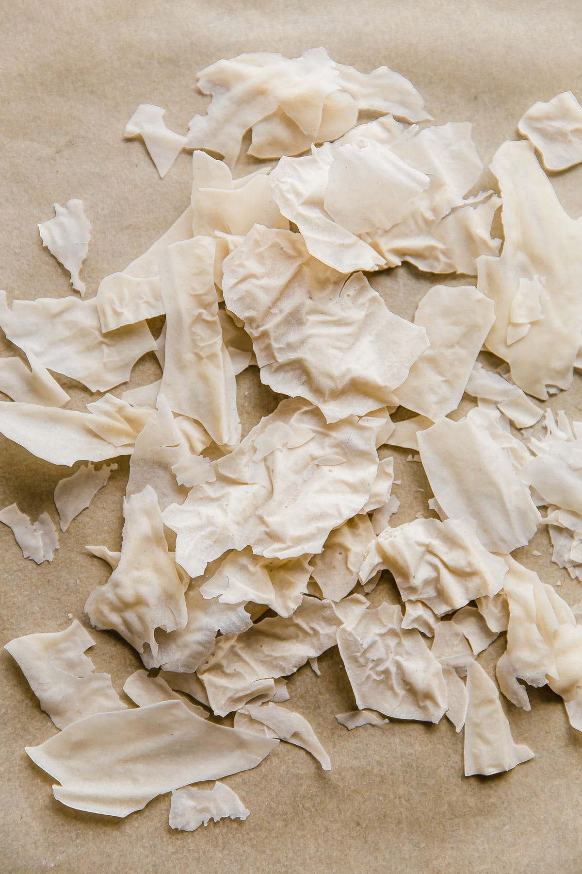 Gluten-Free Sourdough Starter (Dehydrated)